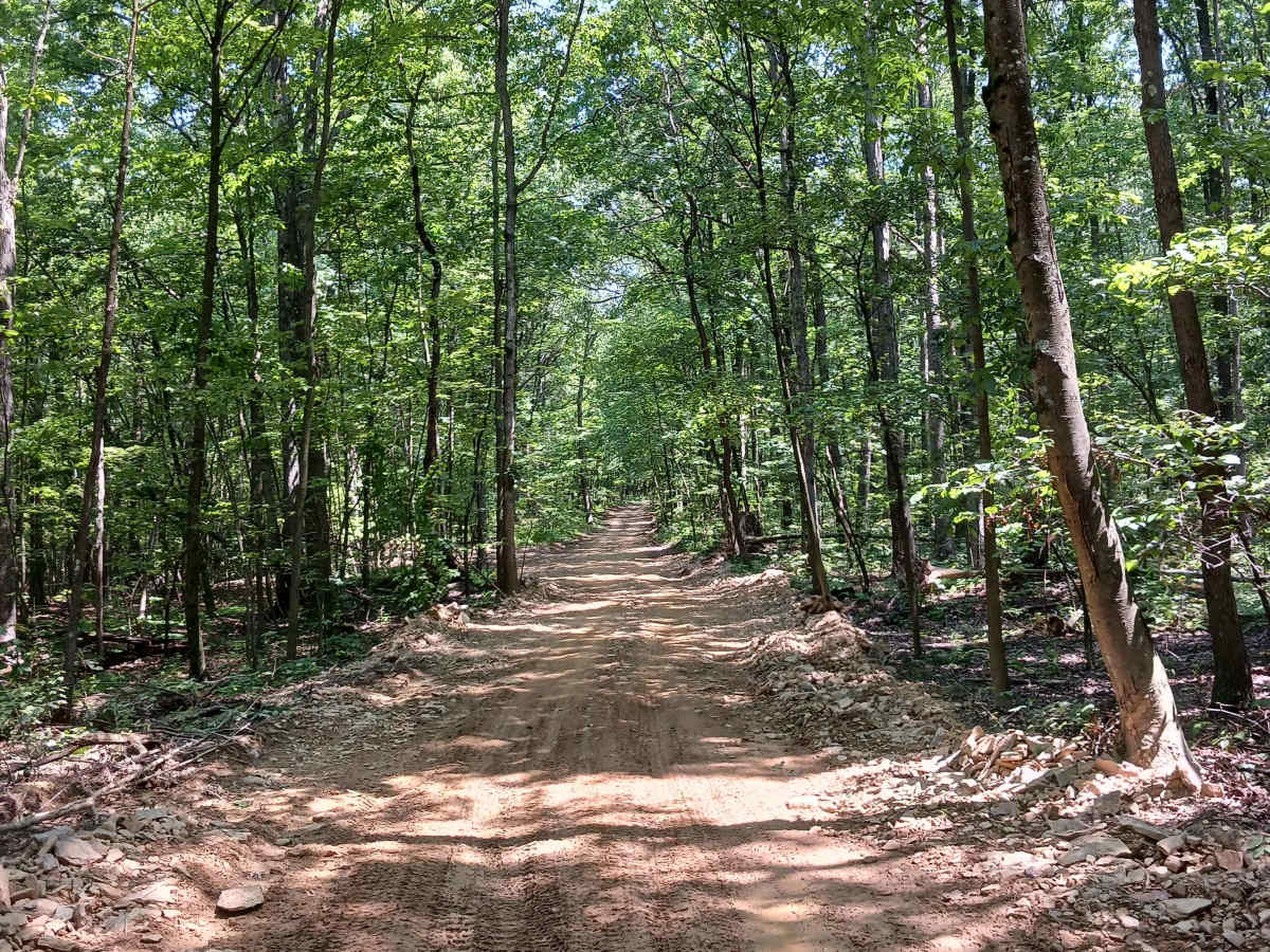 Oak Lane - Rock Run Recreation Area photo 6