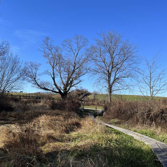 Near Perkins Loop via Appalachian Trail Near Perkins Loop via Appalachian Trail