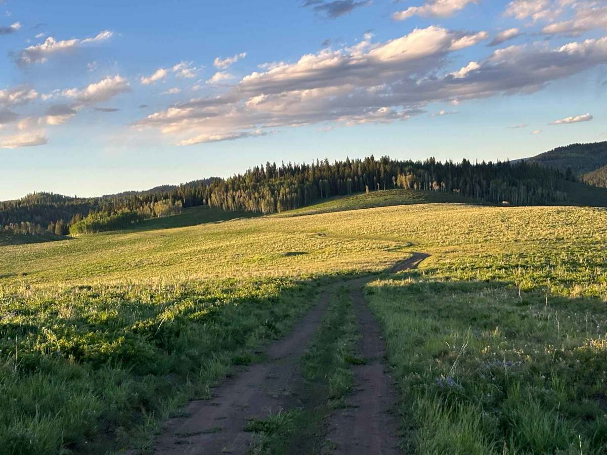 Clark Ridge photo 2