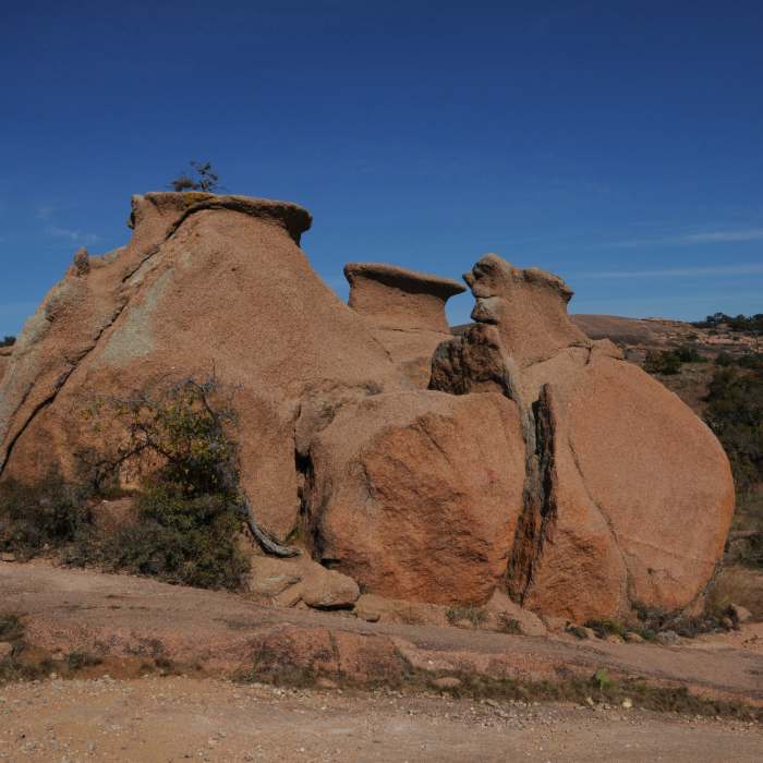 Near Loop Trail