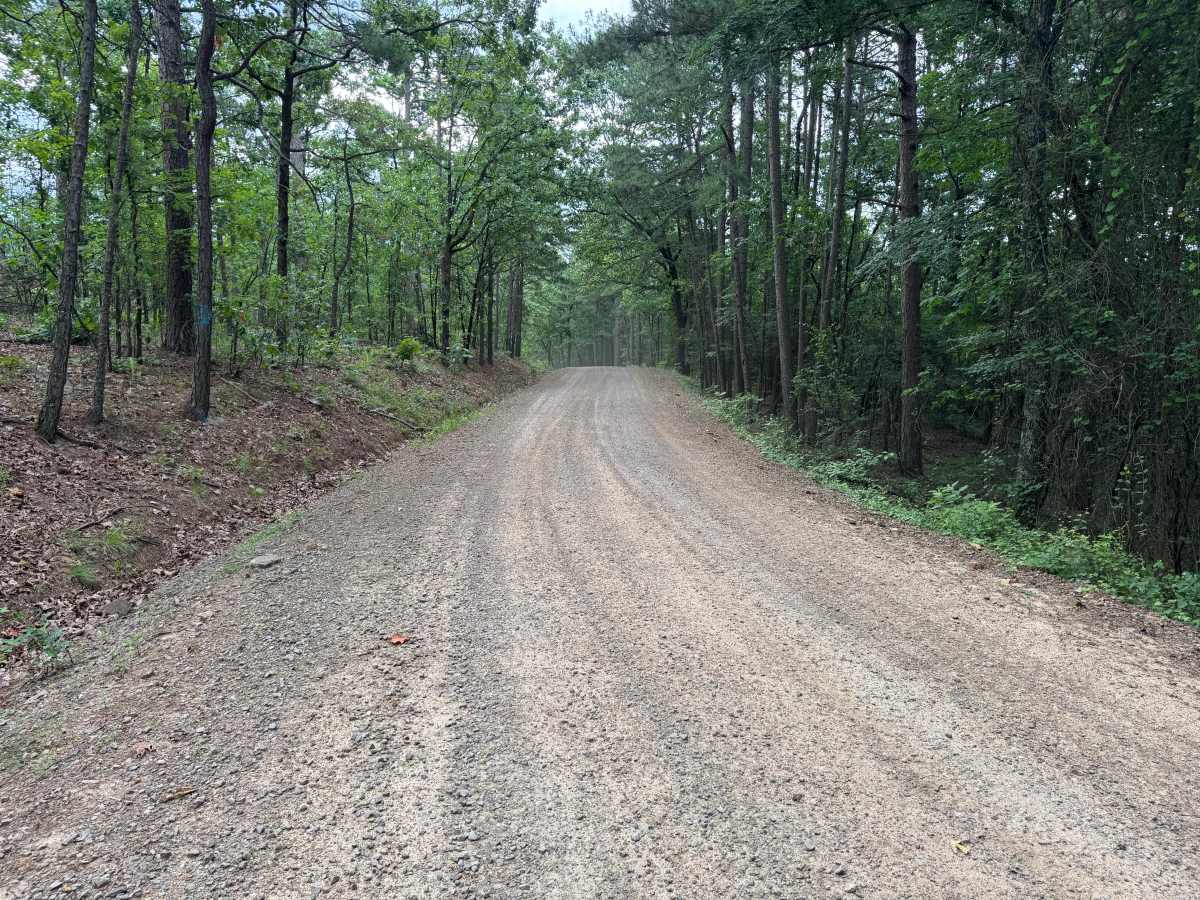 County Road 4430 photo 2