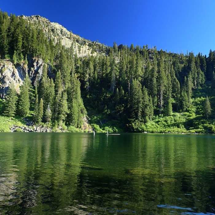 Near Preston Peak Spur Trail