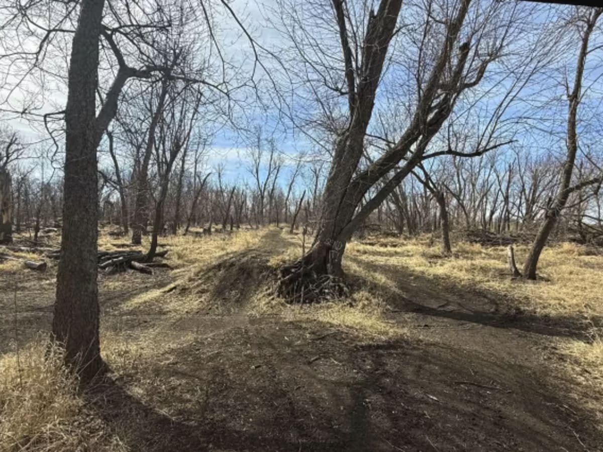 Dike Trail photo 5