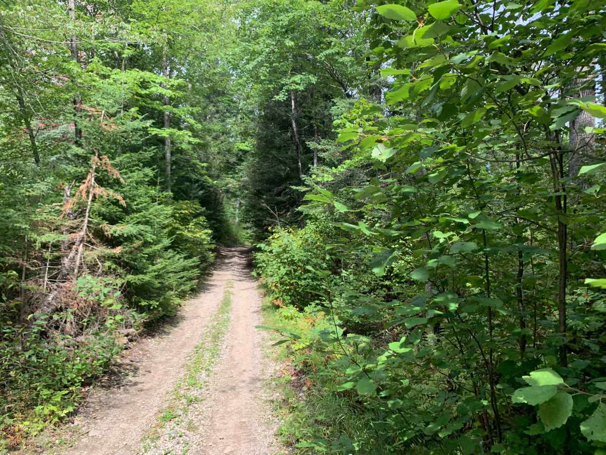 Godlevske Trail photo 2