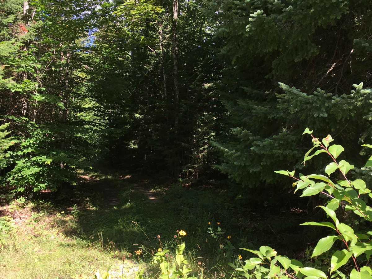 Spencer Trail photo 6