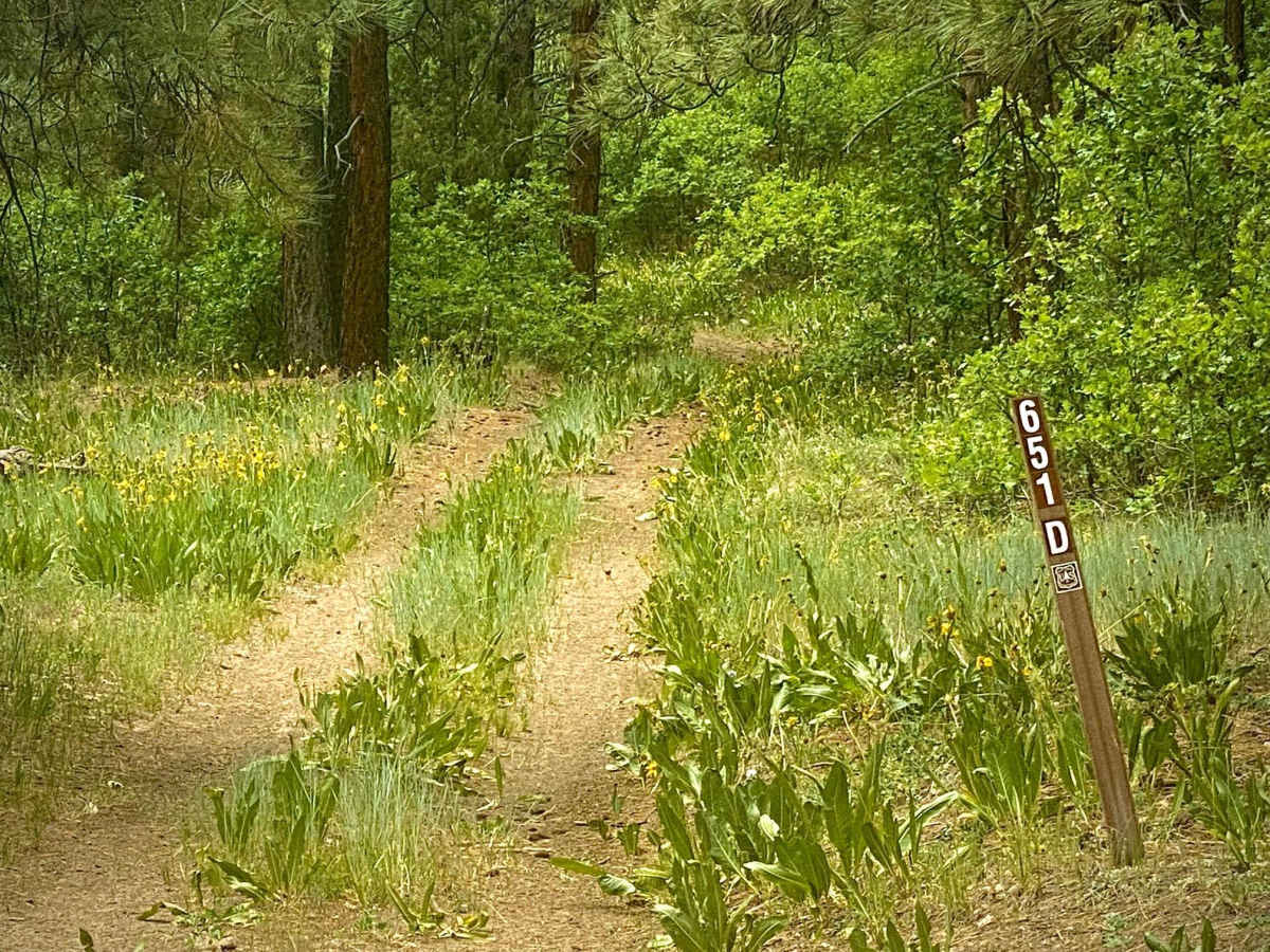 Eight Mile Mesa D-USFS Rd #651D photo 2