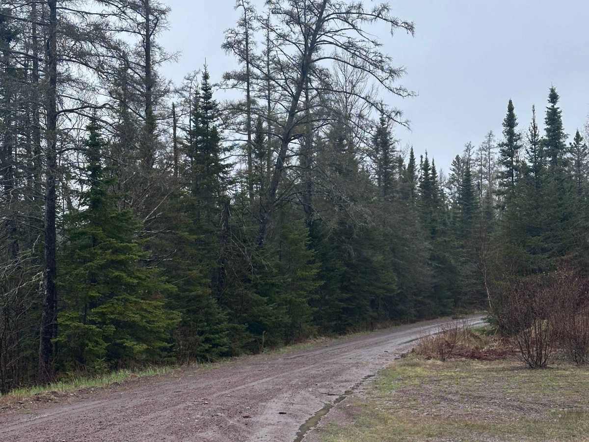 Pine Mountain Road trail photo
