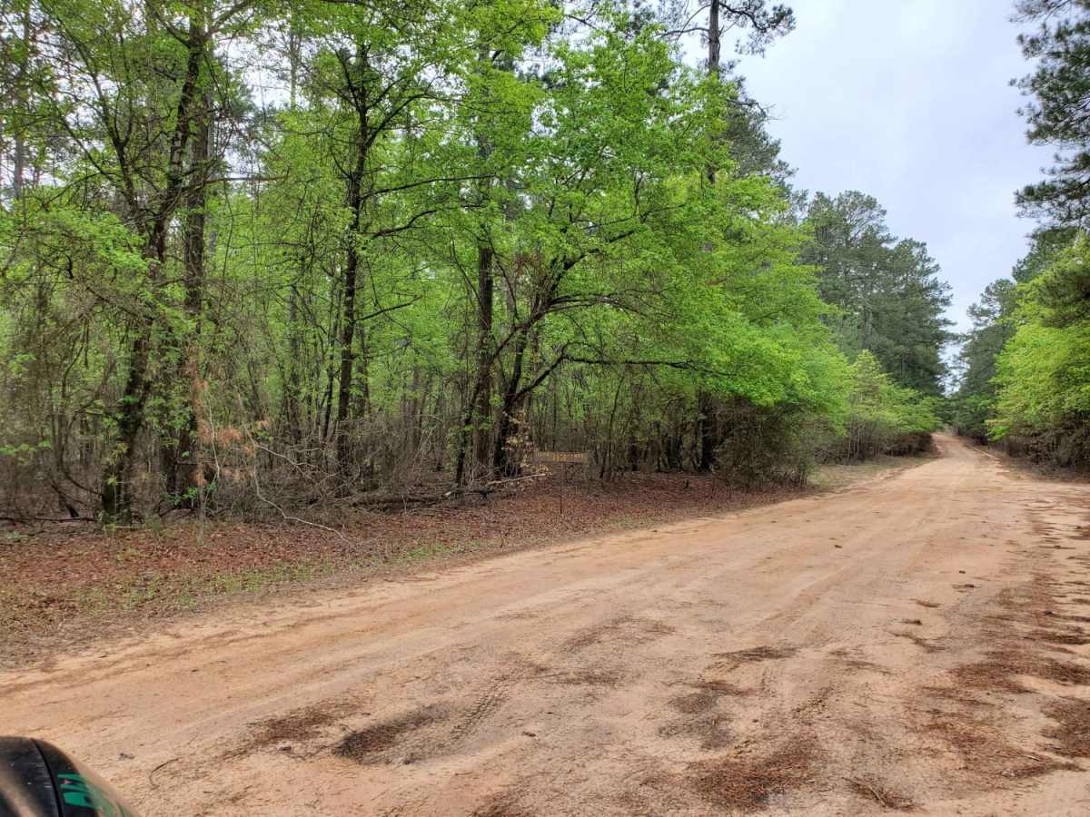 Primitive Camp and Shooting Range in Poison Springs WMA photo 4
