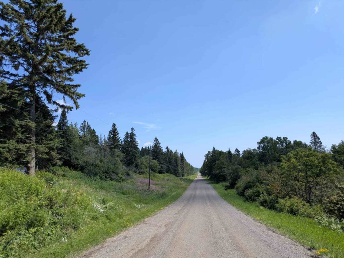 County Road 60 photo 3