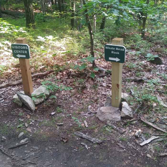 End of the orange trail, turning around in the loop back on the blue trail. Near Pyramid Mountain-Kakeout Reservoir Loop