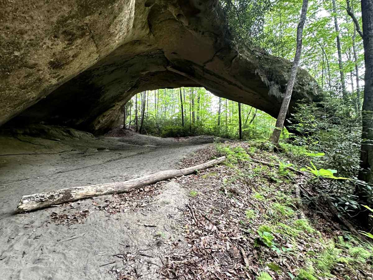 Parker Mountain Road photo 6