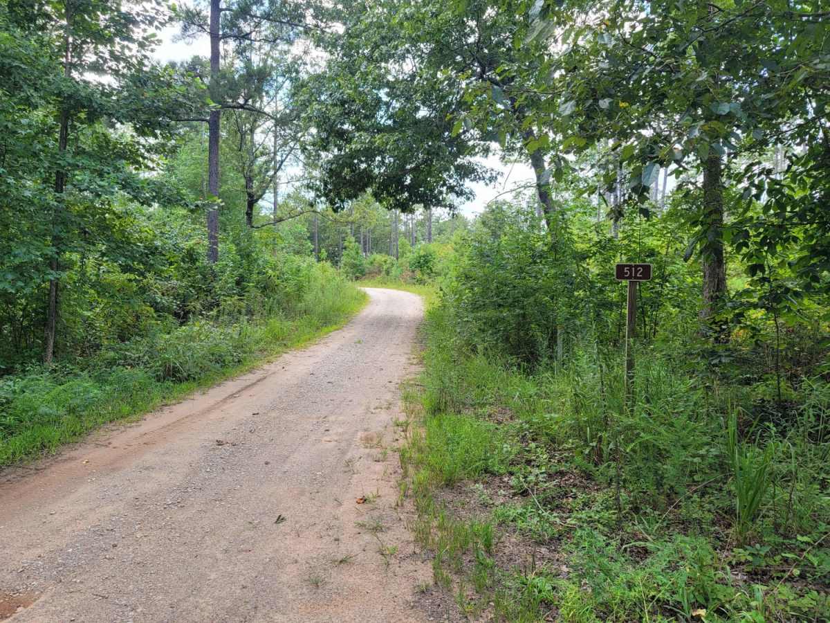 USFSR #512 Ivory Mountain trail photo