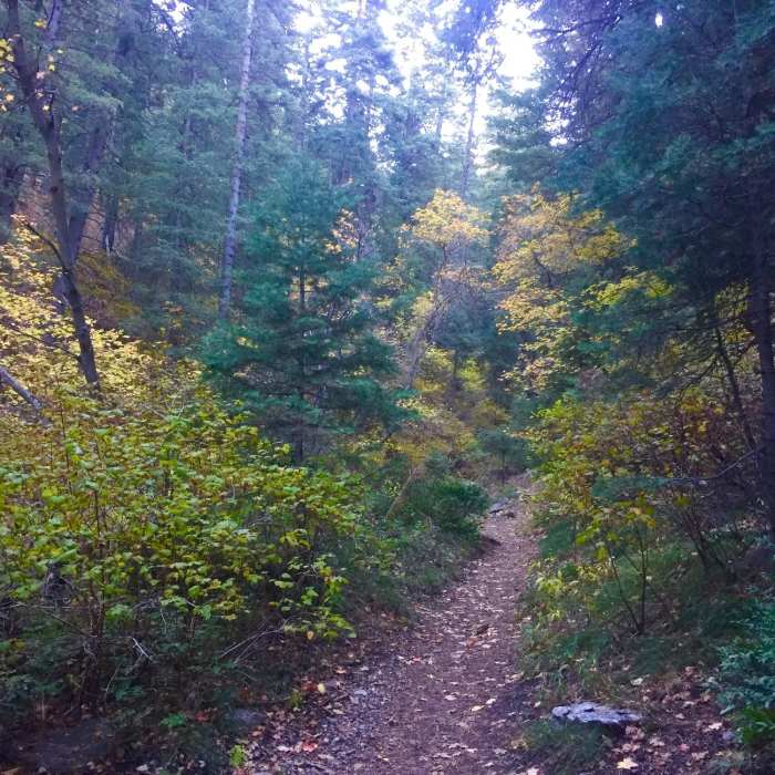 Near Desolation Trail to Salt Lake Overlook