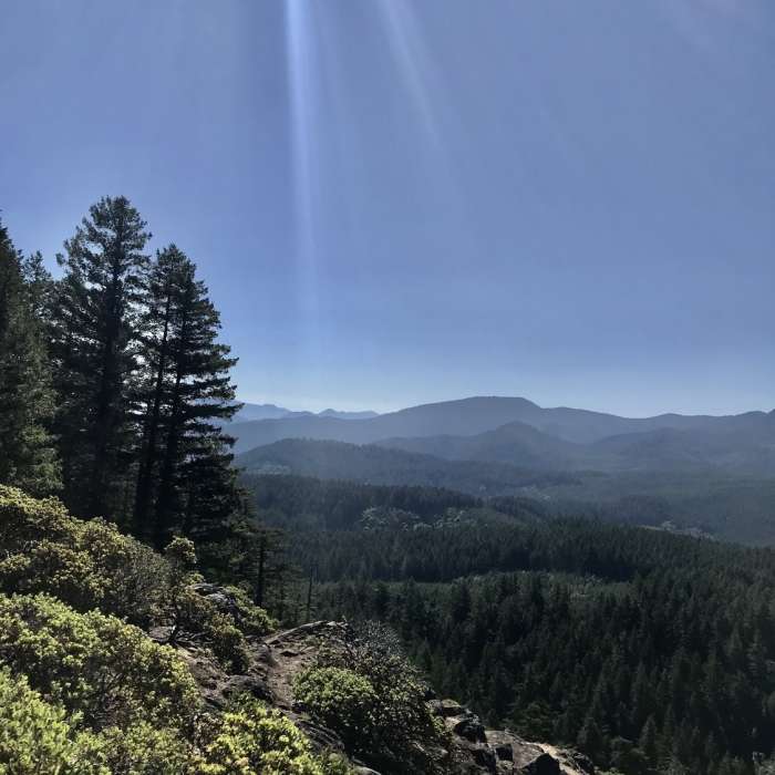 Near Eagles Rest Trail #3461