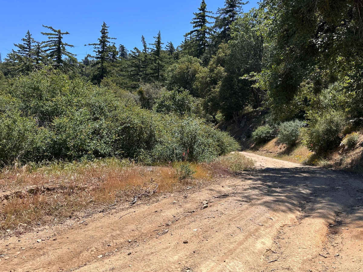 Suncrest Trail trail photo