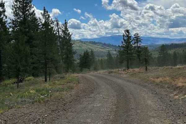 Lick Creek - FS 50143