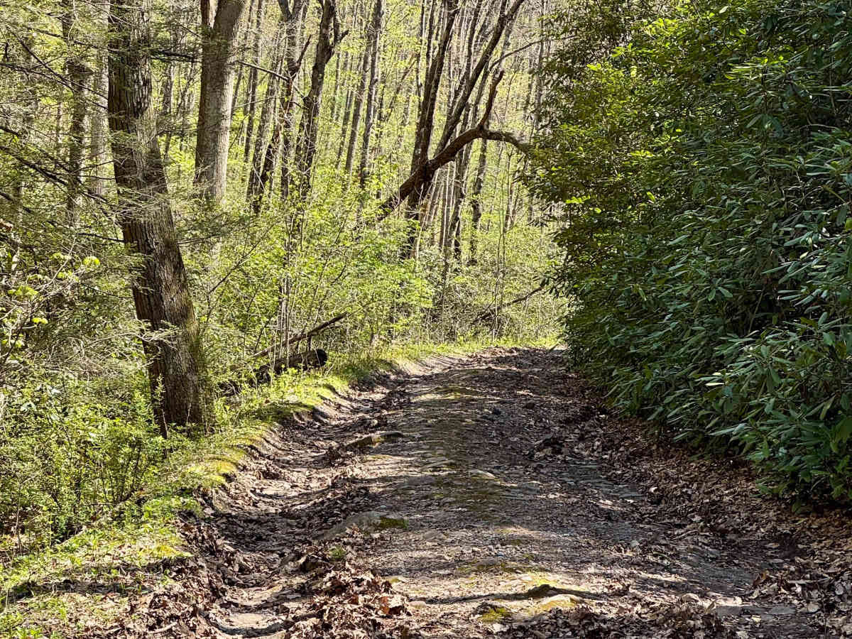 Stillhouse Hollow Rd photo 4