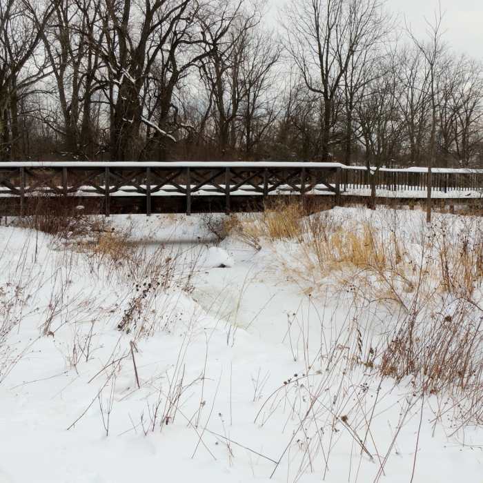 Near Coffee Creek Watershed Preserve Loop