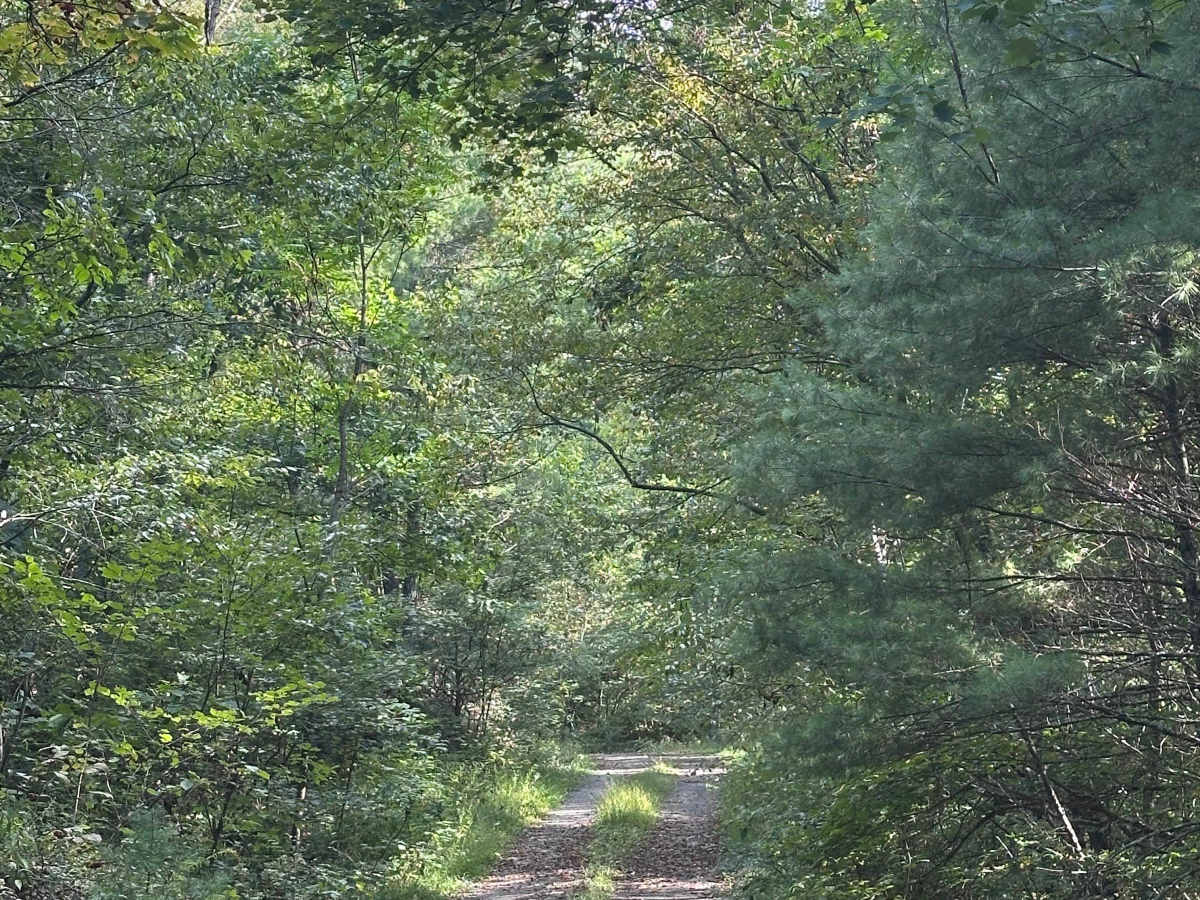 Gilliam Run West photo 2