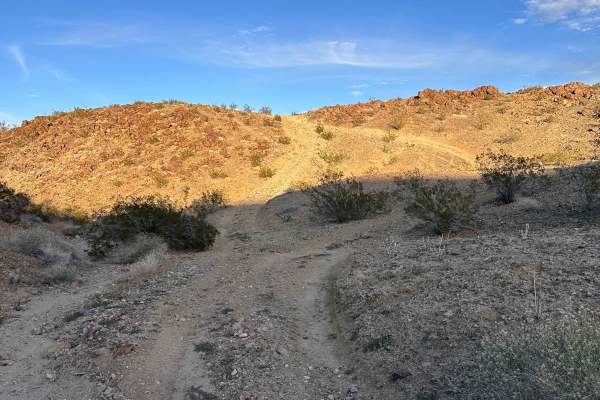Copper Canyon