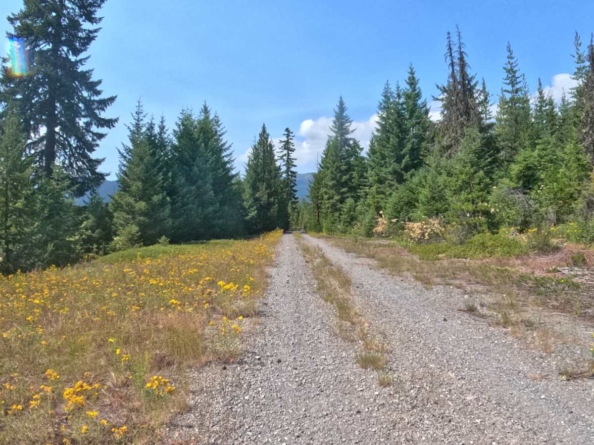 FS 2261310 photo 2