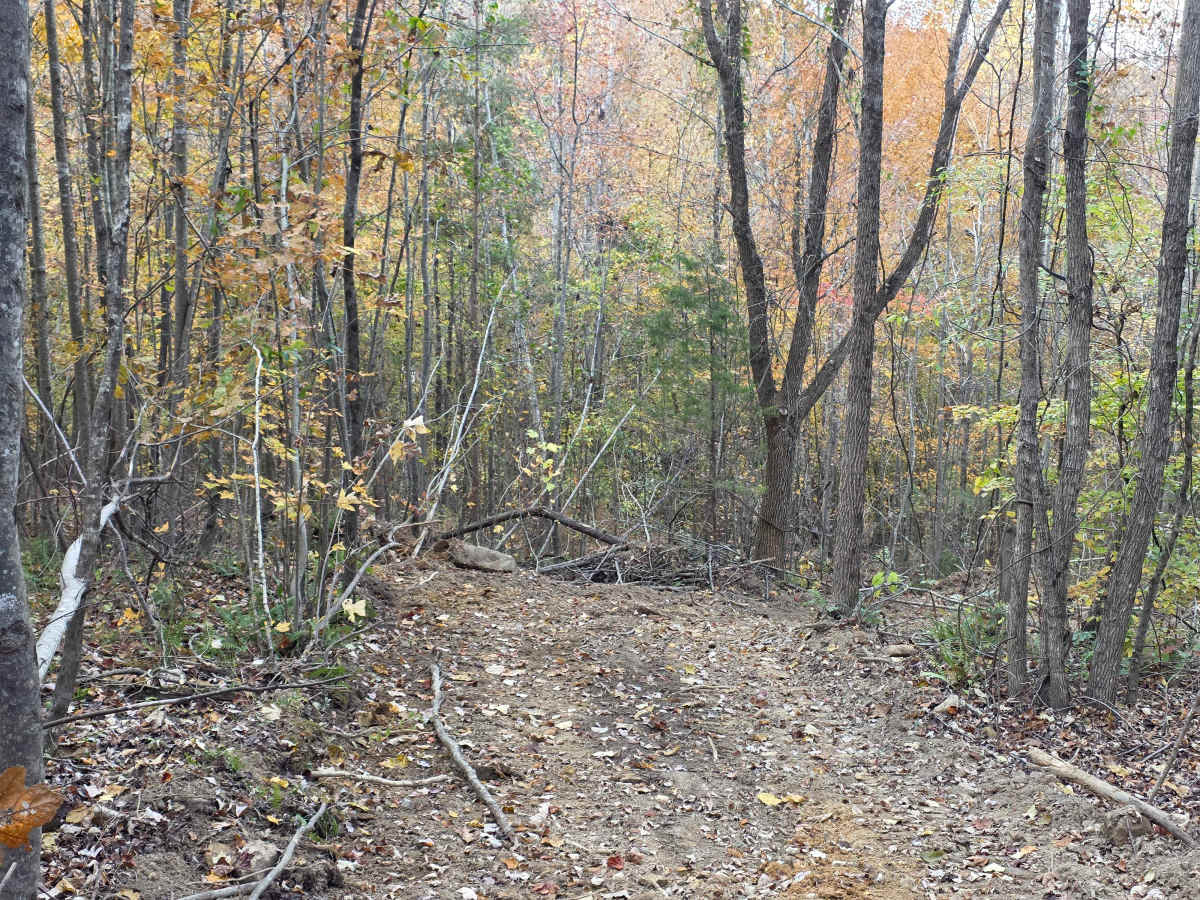 Hardwood Hollow Bypass photo 3