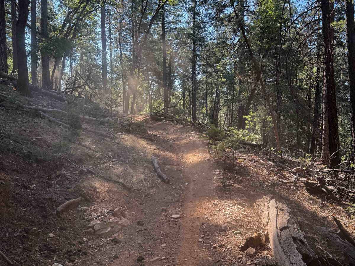 Trail 3 ATV (11E18)  photo 6
