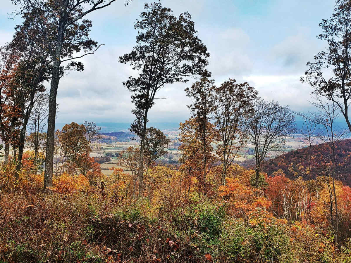 Oak Road trail photo