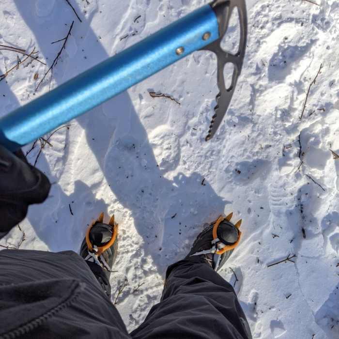 Near Bellows Pipe to Mt Greylock Summit