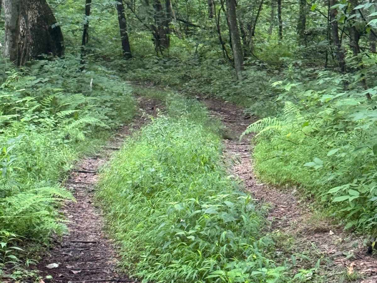 Trail 72 photo 3