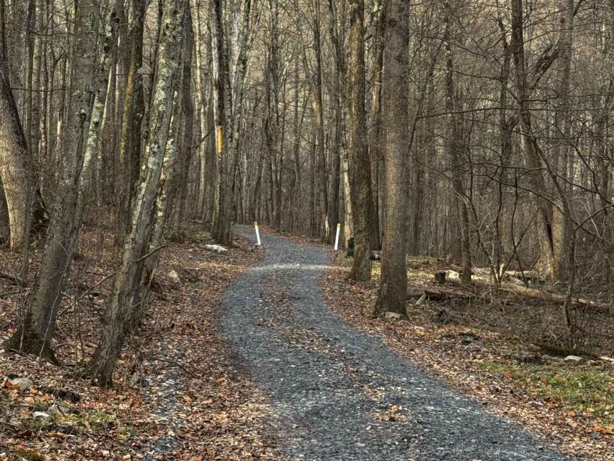 Baker Run Road photo 3