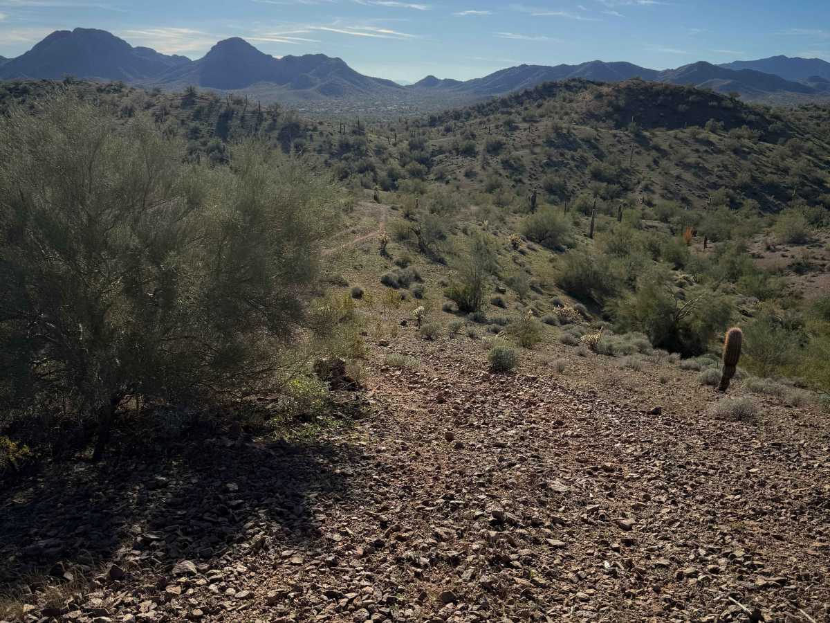 Paloverde Ridge  photo 4