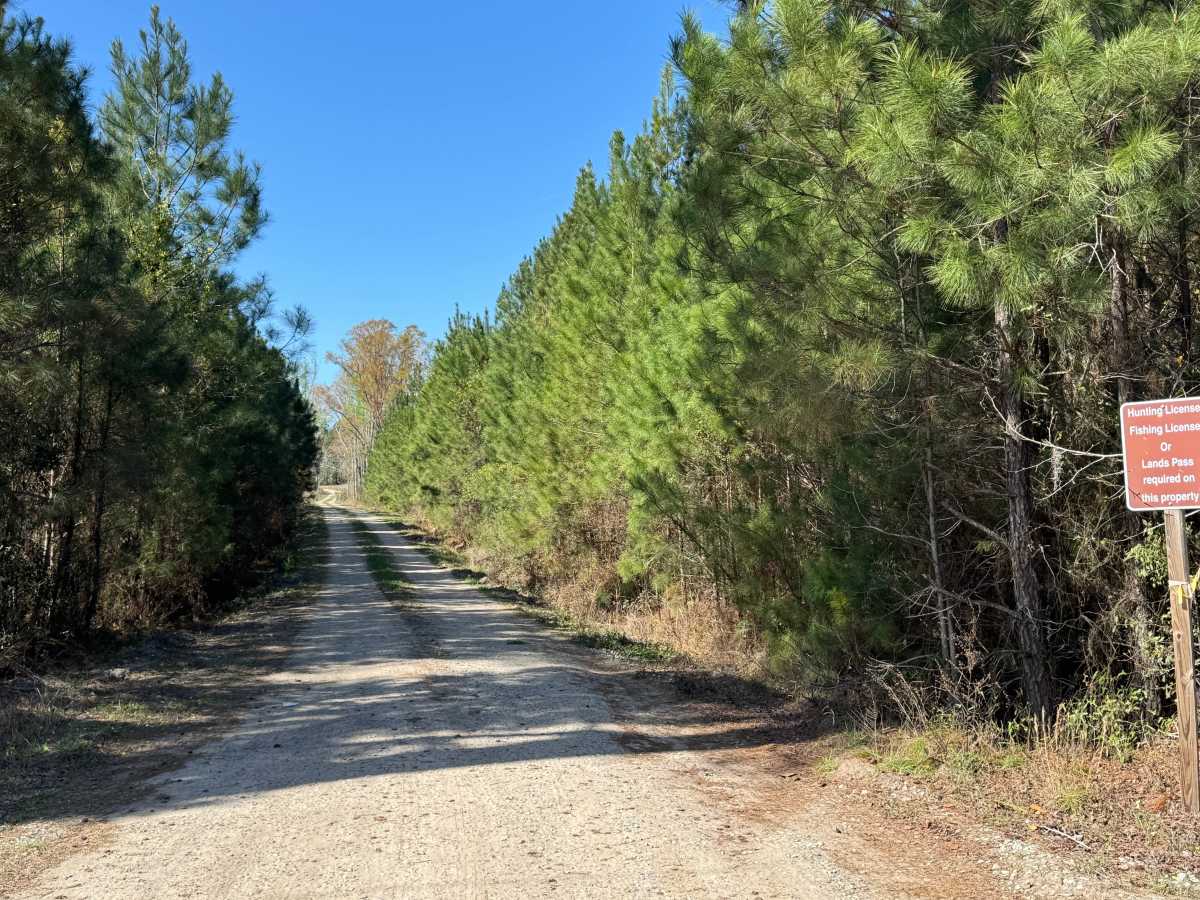 Belle Vista Road trail photo