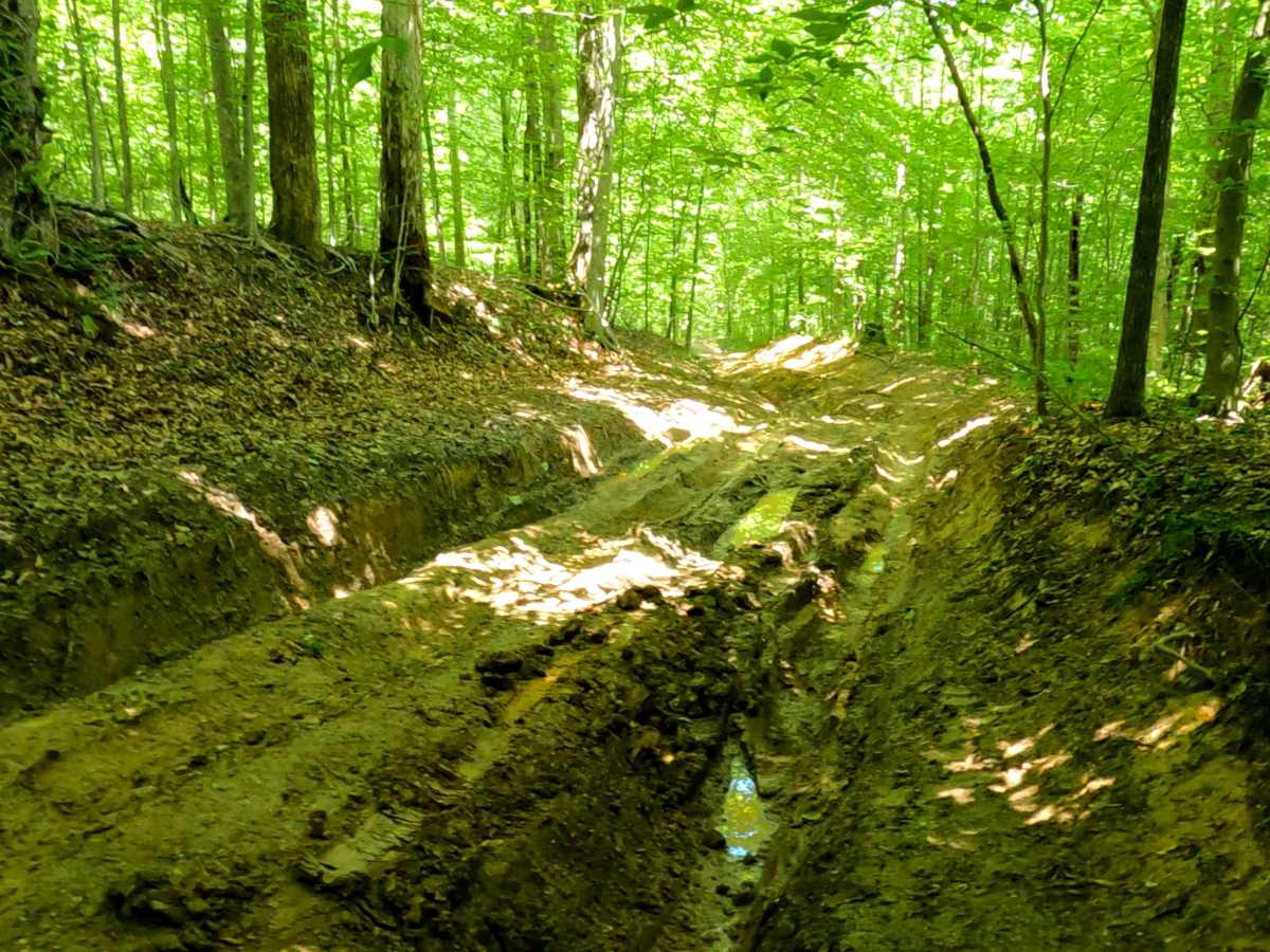 Wayne Benson Road photo 6