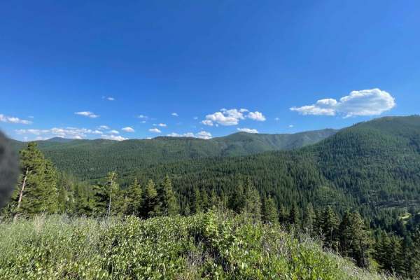 Middle Fork Schwartz