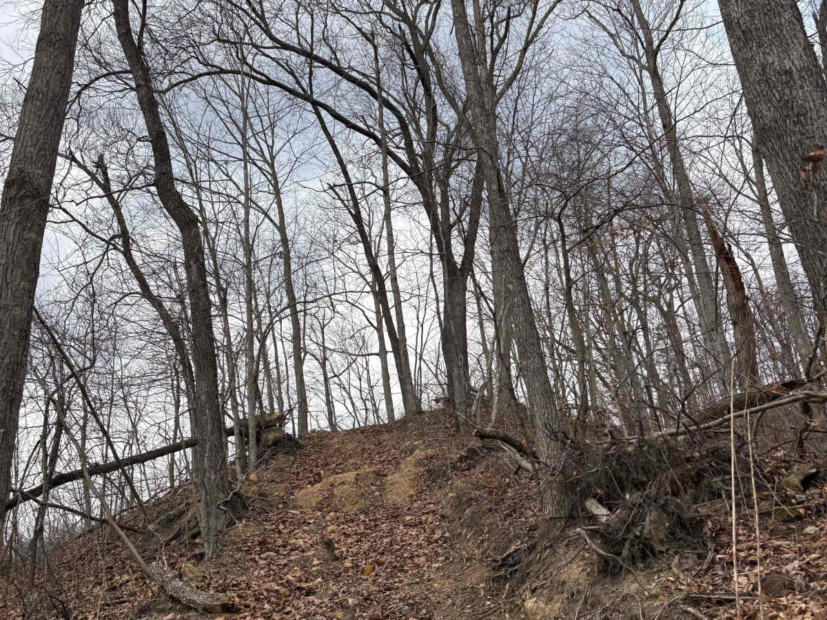 Trail 2 photo 4