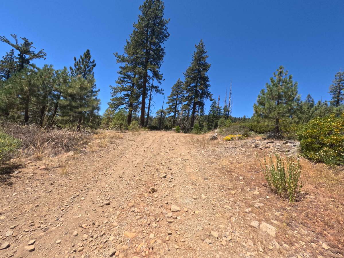 Upper Votaw - FS 8N13 photo 4