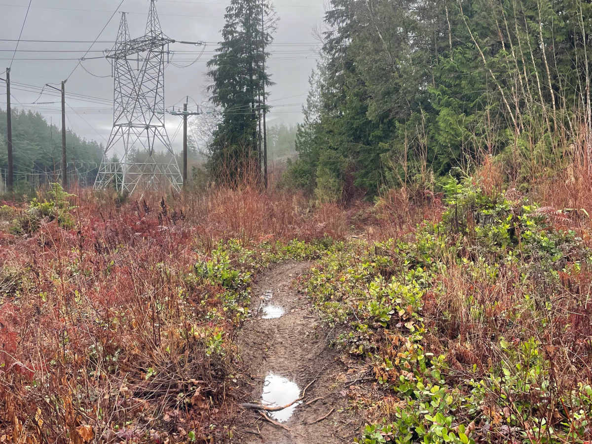 Corner Cutter trail photo