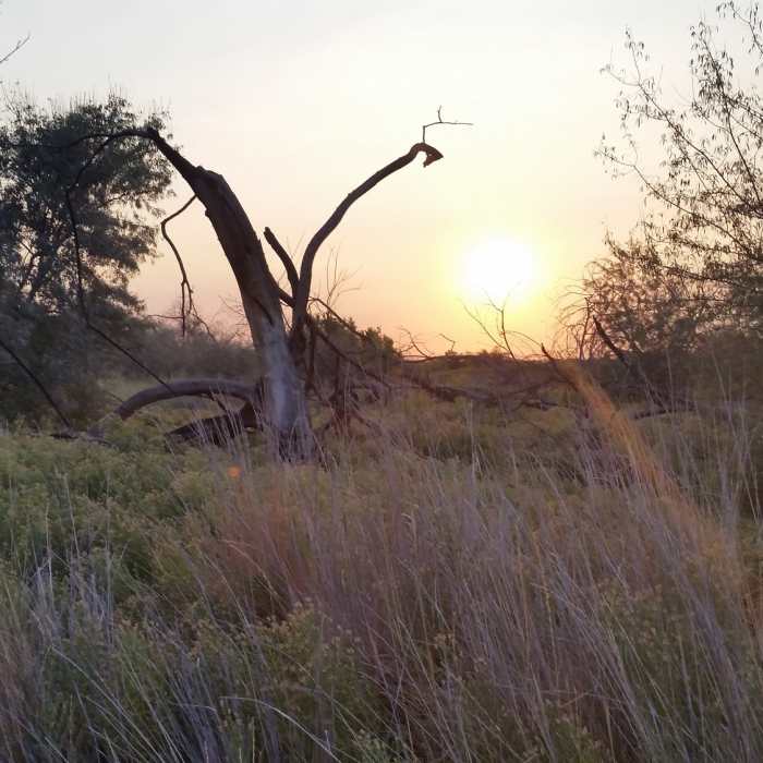 Sunrise along Bateman Island. Near Bateman Island Trail