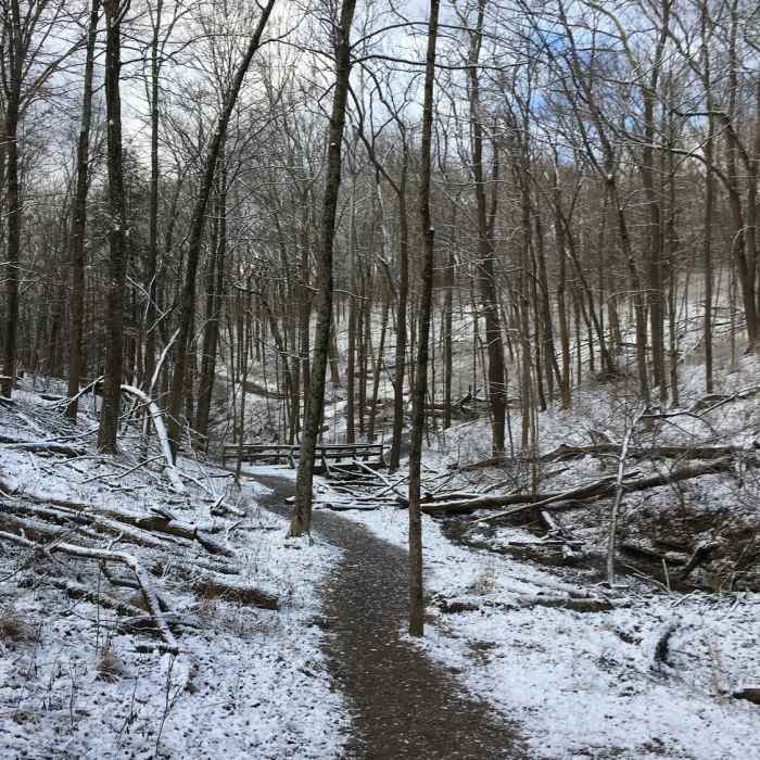 Near Mt. Airy Sampler Pack