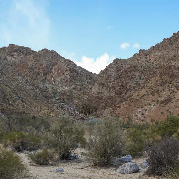 Near Dead Indian Canyon