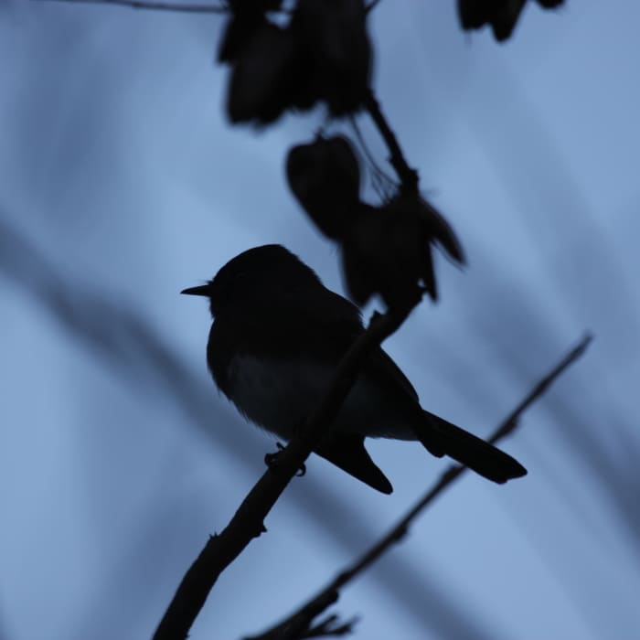 Near Wood Canyon Cave Tour