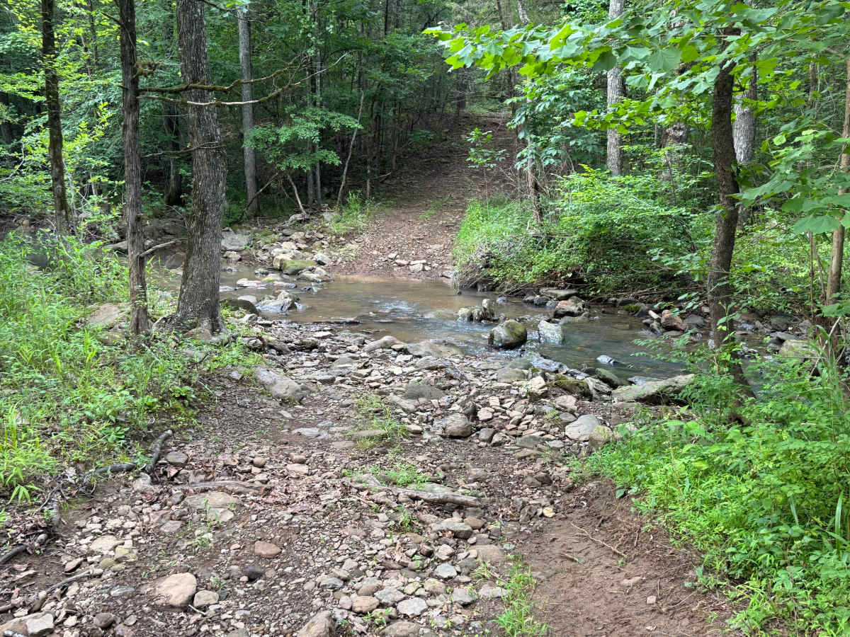 Lower Sarah photo 6
