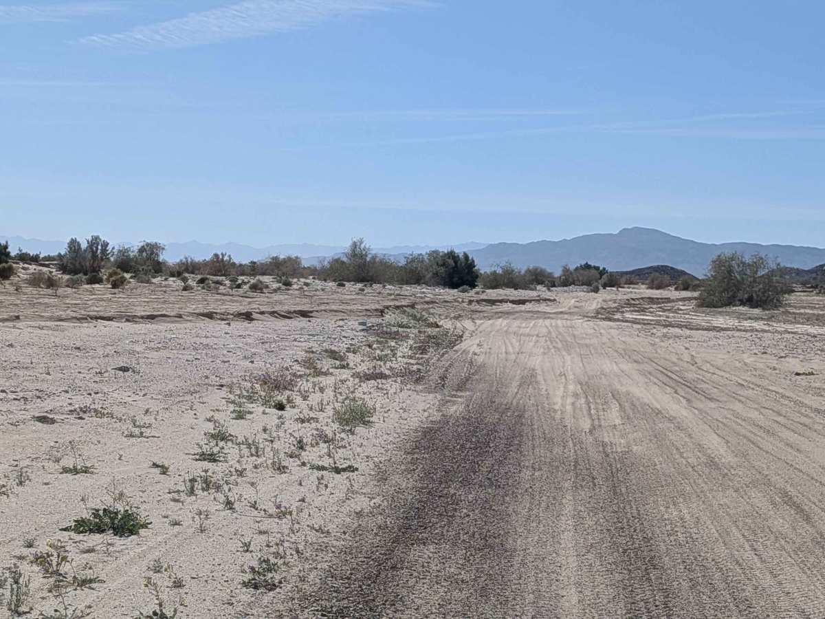 Carrizo Wash South photo 6