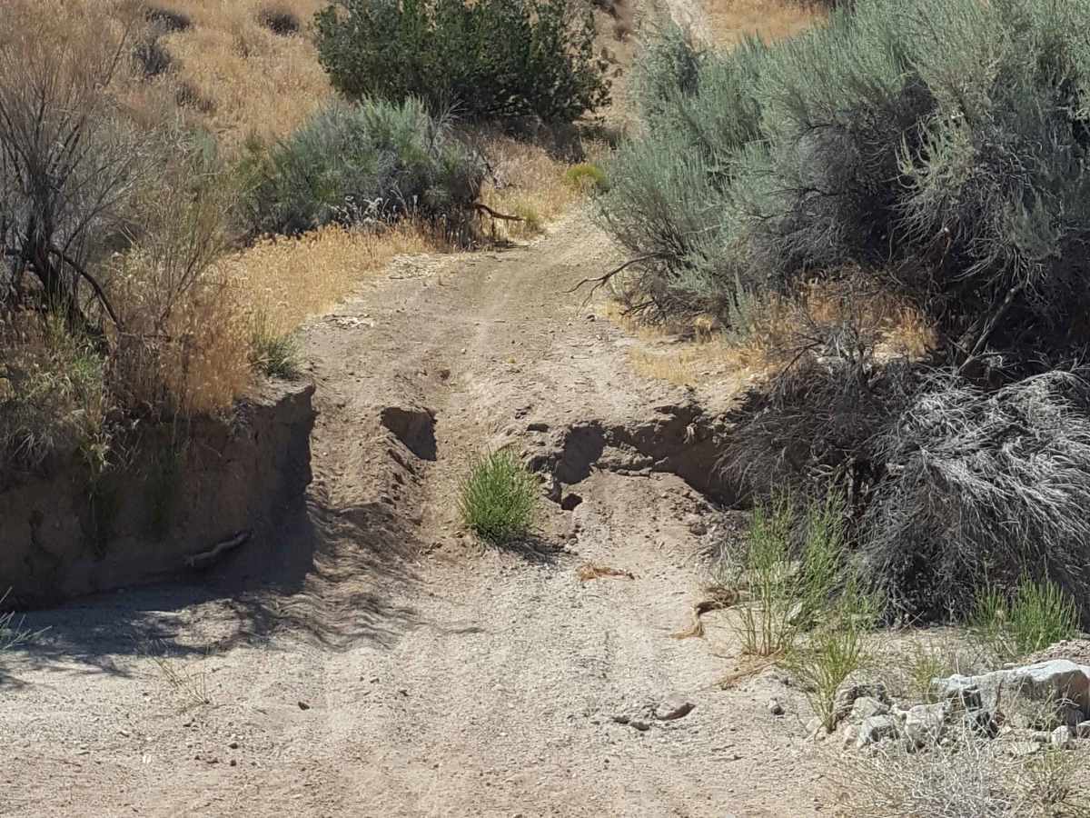 Trail 6 photo 5