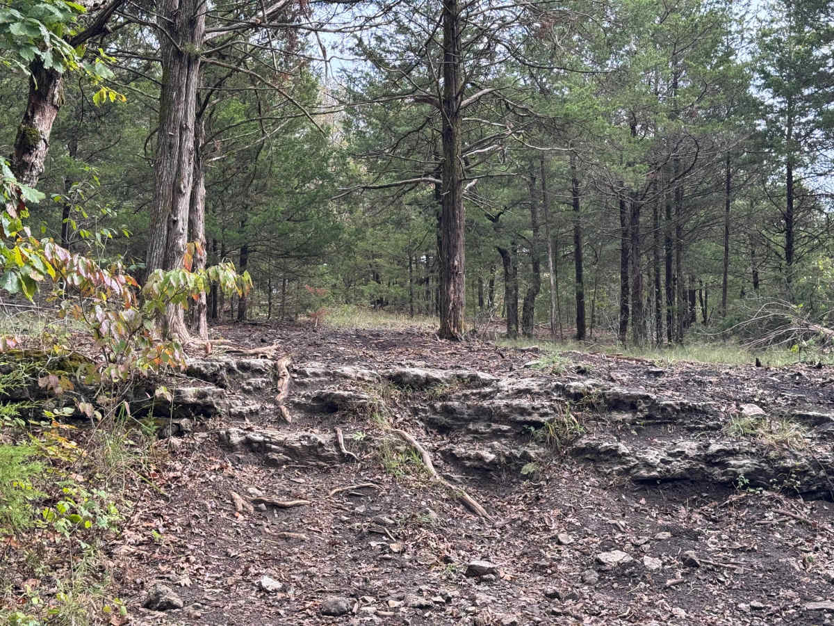 Twin Steps trail photo
