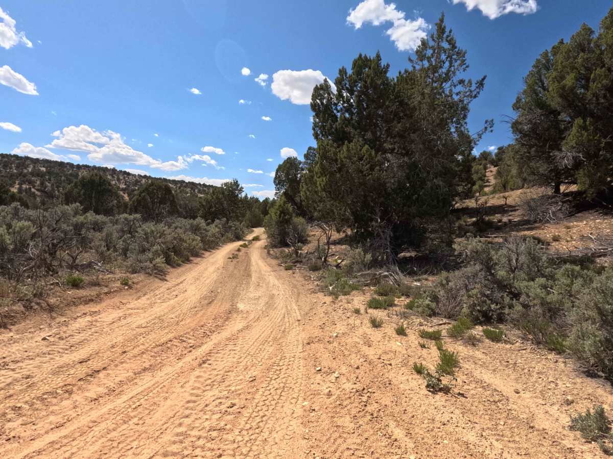 BLM 47 photo 5