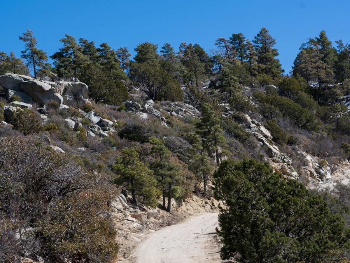 Thumb Butte Loop photo 3