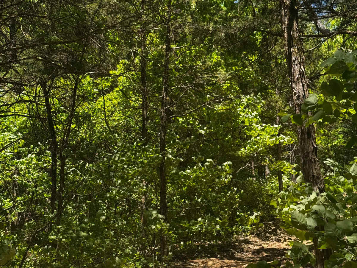 Waterfall Hill  photo 3