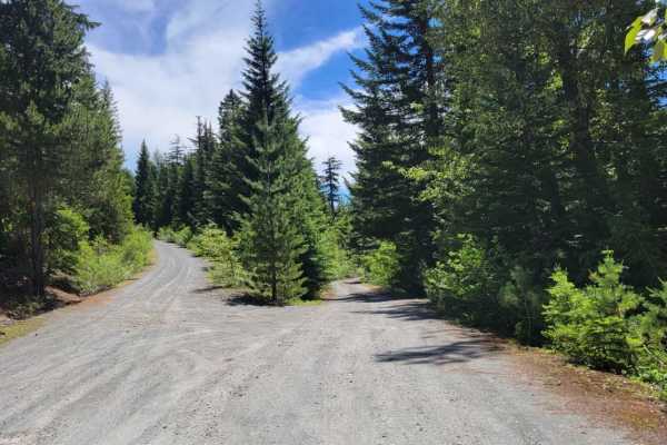Mud Creek - Forest Road 309